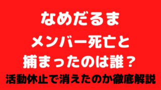 なめだるまメンバー死亡と捕まったのは誰?活動休止で消えたのか徹底解説